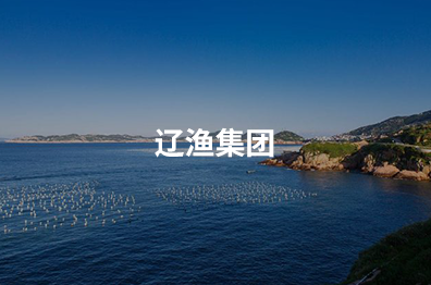 辽渔集团